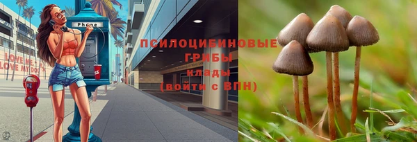 меф Снежногорск