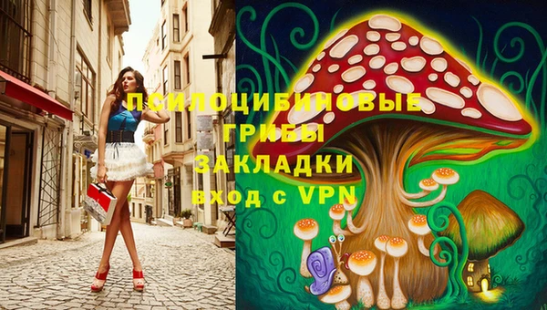 меф Снежногорск